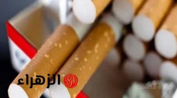 زيادة رسمية.. أسعار السجائر الجديدة في مصر اليوم القائمة الكاملة لجميع الأنواع 1